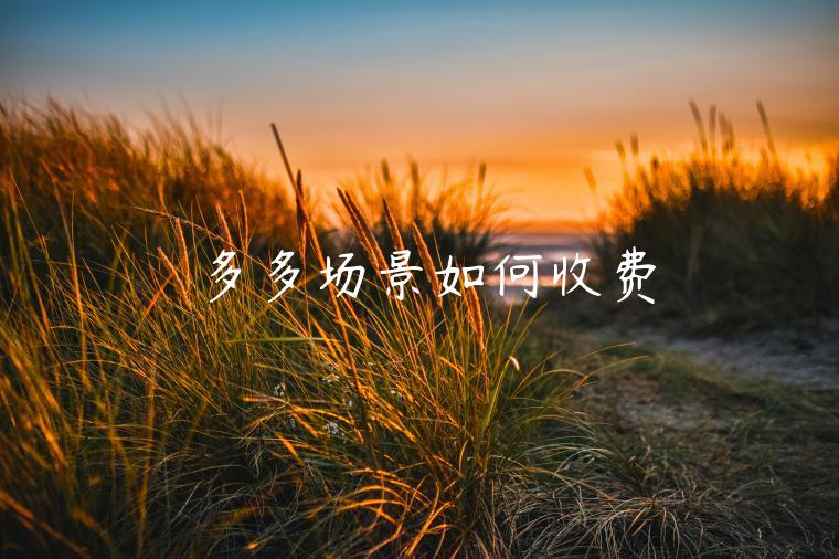 多多場(chǎng)景如何收費(fèi)